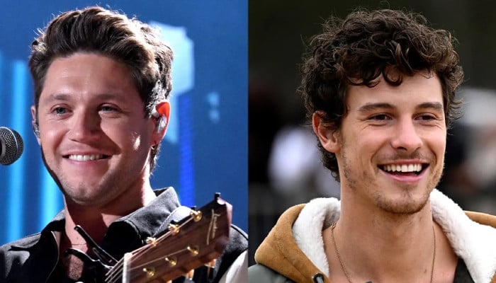 Shawn Mendes, Niall Horan reunite onstage for first time after Liam Payne’s death