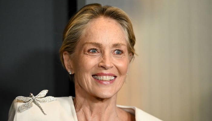 Sharon Stone stands against ‘Basic Instinct’ reboot